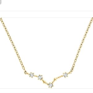 New! Pavoi 14k Gold Plated Pisces Astrology Necklace